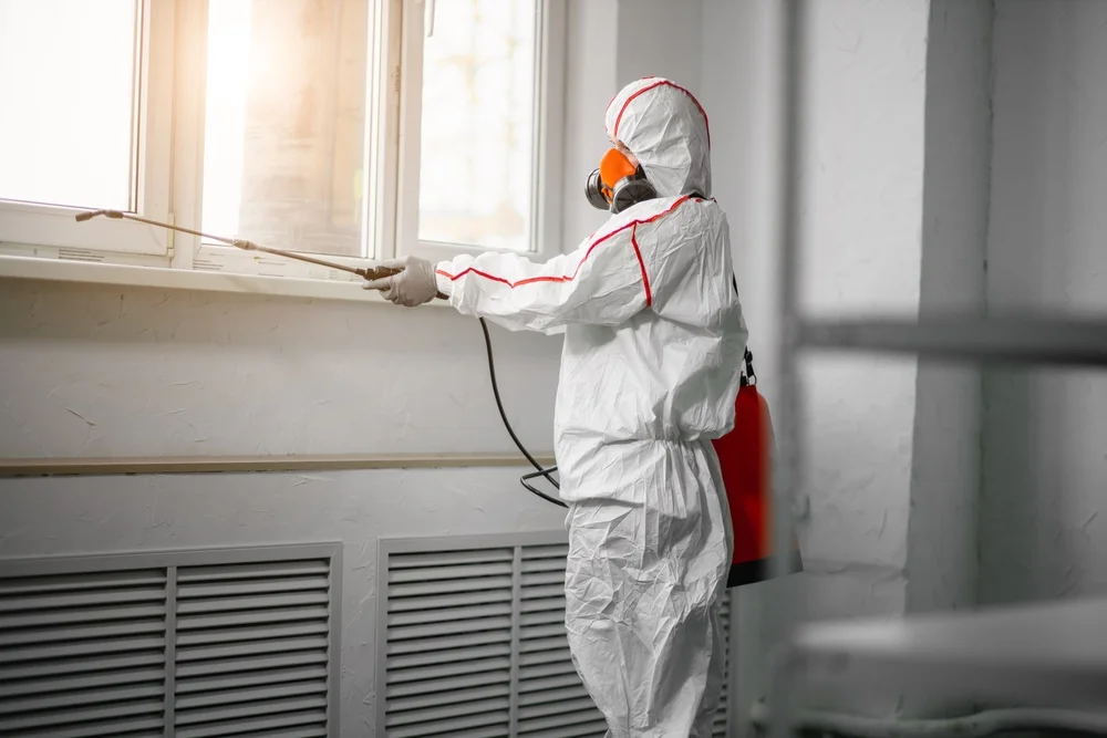 Professional mold remediation services in Shepherd, TX